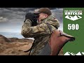 Fieldsports Britain - Highland horror stories: what Scotland is doing to its moors and mountains