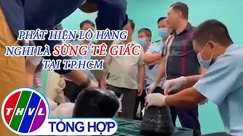Phát hiện lô hàng nghi là sừng tê giác tại TP.HCM