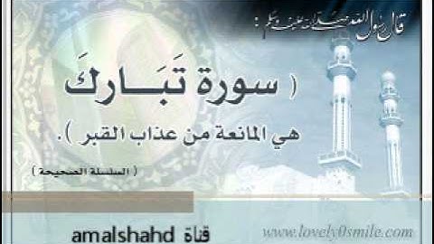 السورة التي تشفع لصاحبها وتنجية من عذاب القبر