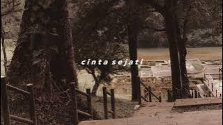 cinta sejati - bcl | speed up   reverb