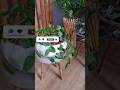 Подставка из цемента своими руками Flower stand from cement #diy #asmr #cementasmr