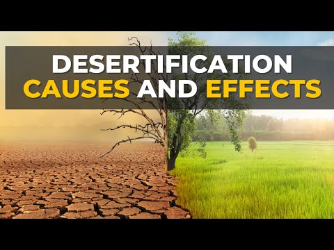 Video: Jak nadměrné zemědělství způsobuje dezertifikaci?