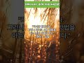 명언 06 지혜의 보고서 생각과 지식을 나타낸 명언