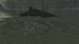 Shadow of the Colossus - Gecko breathing