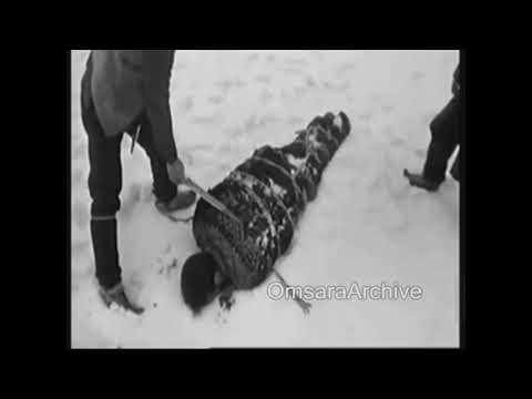 სისხლი დის სიცოცხლე ქრება