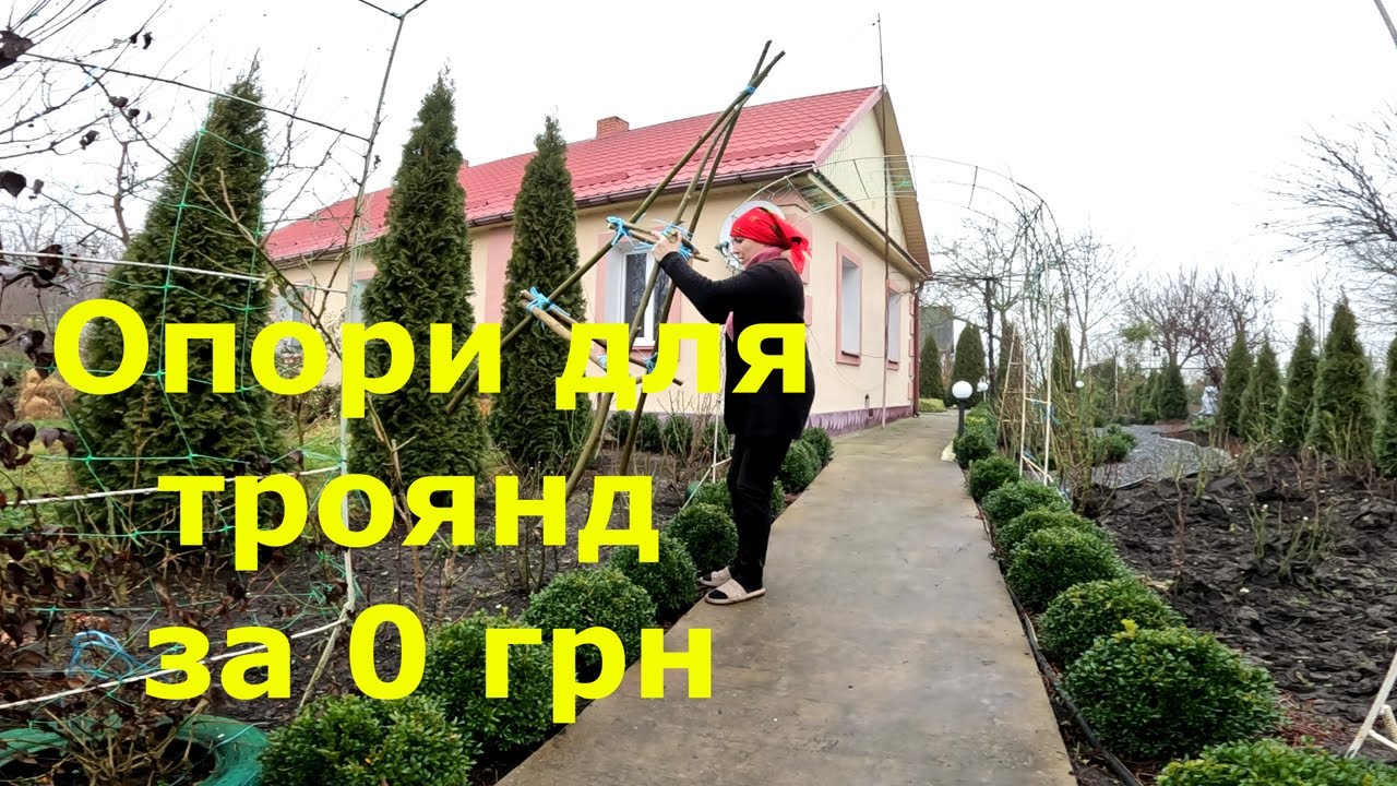 Опори для троянд БЕЗ ГРОШЕЙ та справи до Різдва 🎄 Rose Supports for FREE & Garden Chores before Xmas