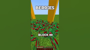 At what height will the block save my life? 🤨