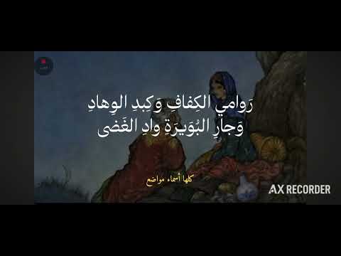 المتنبي ولما انخنا ركزنا الرماح