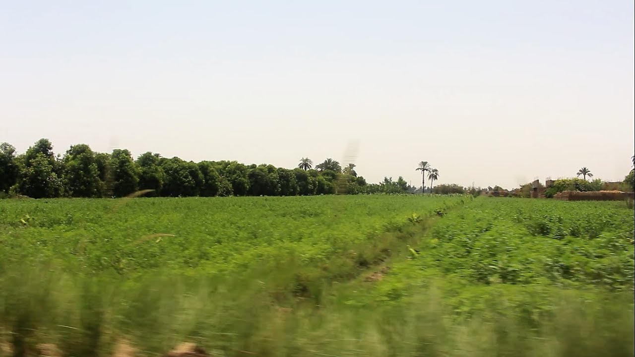 الأقصر بلدنا | قصة قرية - 