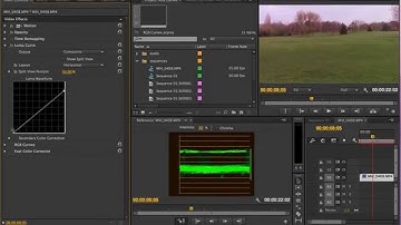 Color Correction Pt 3 Luma Curve and RGB Curves