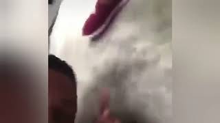 Abibasadidas Versão Enfadonha