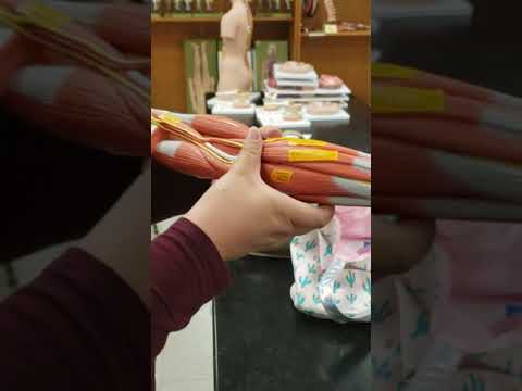 Arm camera iphone 8 plus apk