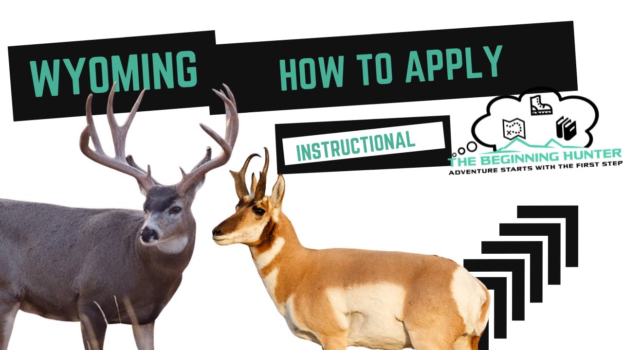 How to Apply Wyoming Nonresident Antelope YouTube