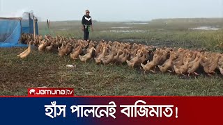 টুঙ্গিপাড়ায় হাঁস পালনে স্বাবলম্বী শতাধিক পরিবার | Gopalgonj Duck Farm | Jamuna TV
