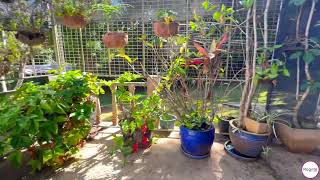 1 Kearney Street Mareeba - For Sale