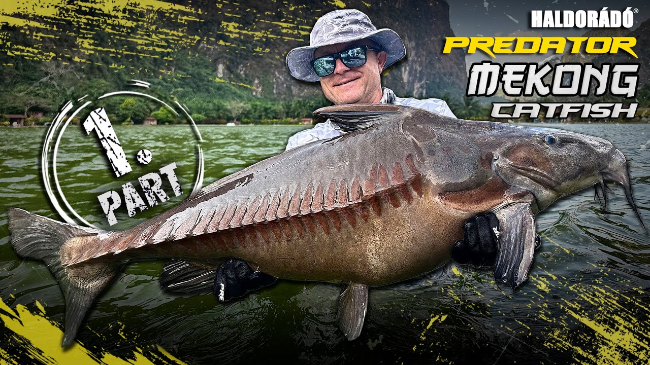 Döme Gábor - LEGENDÁS HARCSÁS VIZEKEN 8. rész - Ázsia legnagyobb harcsája 1. epizód