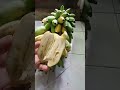 Shortsmelihat isi dalam pisang emas