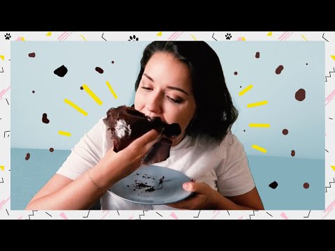 DE BOL IS BACK!  (parodie) - DE BOL IS BACK!  (parodie)