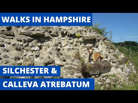 WALKS IN HAMPSHIRE at SILCHESTER & CALLEVA ATREBATUM (ROMAN TOWN) (4K)