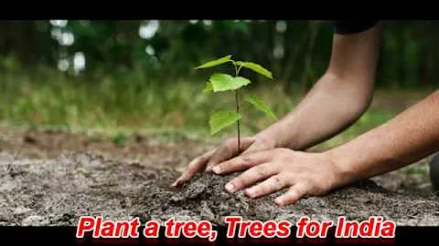 Plant A Tree For Your Tomorrow(J.Denver) Sung by Saurav Goswami