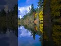 #shorts#ytshorts#youtubeshort#trending#viral#nature#naturephotograpy#naturelovers