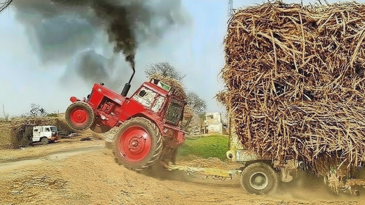 Great and Powerful Belarus Tractors to get sugarcane-filled trailer out of the field