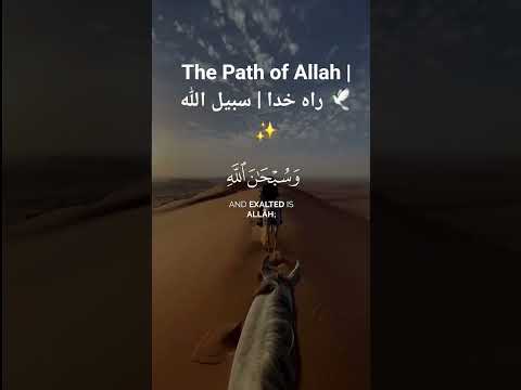     راه خدا سبيل الله