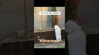 커플, 친구,가족 누구나 너무 재미있고 편하게 지낼수 있는청도에 위치한 가성비 독채 풀빌라 펜션입니다.평일엔 갓성비로 즐기는 럭셔리 독채풀빌라! 산중턱 확트인 마운틴뷰!