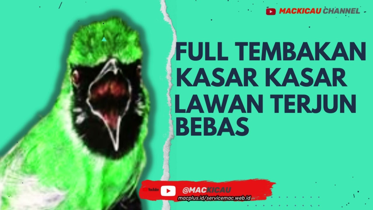 Masteran Cucak ijo Full Termbakan Keras part1@mackicau