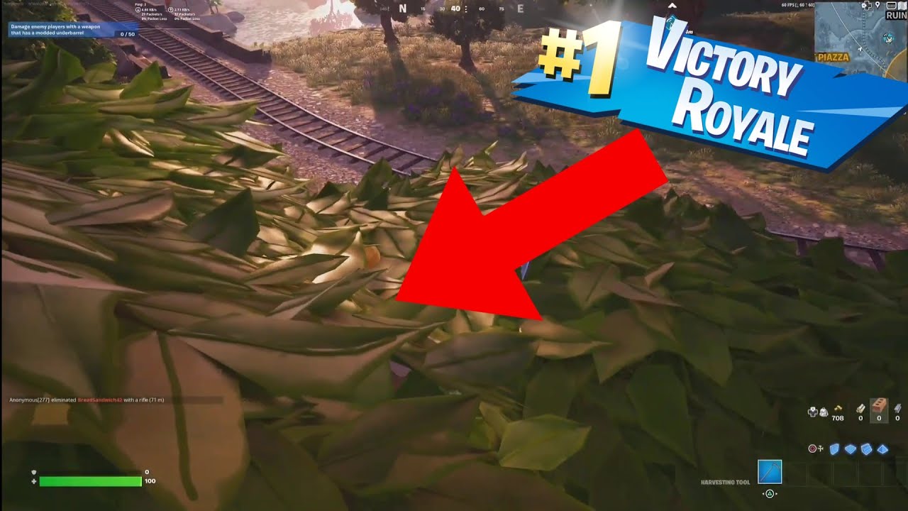 Can I win a game of fortnite doing absolutely nothing? - YouTube