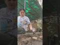 Growing plants ☘️ in the garden 🏡 nature lover #growingplants #shorts #gardening #vlog #ytshorts