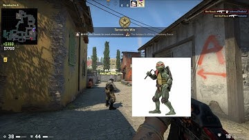 The Best Bug in CSGO