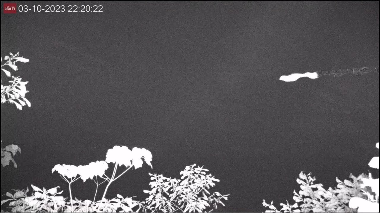 Oct 3 2023: (night) Flying insect trails on infrared cam at Semeru volcano