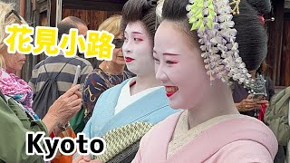舞妓さん👘素晴らしい光景😀Maiko  Maiko  Maiko 🩷Kyoto Japan🇯🇵平安神宮
