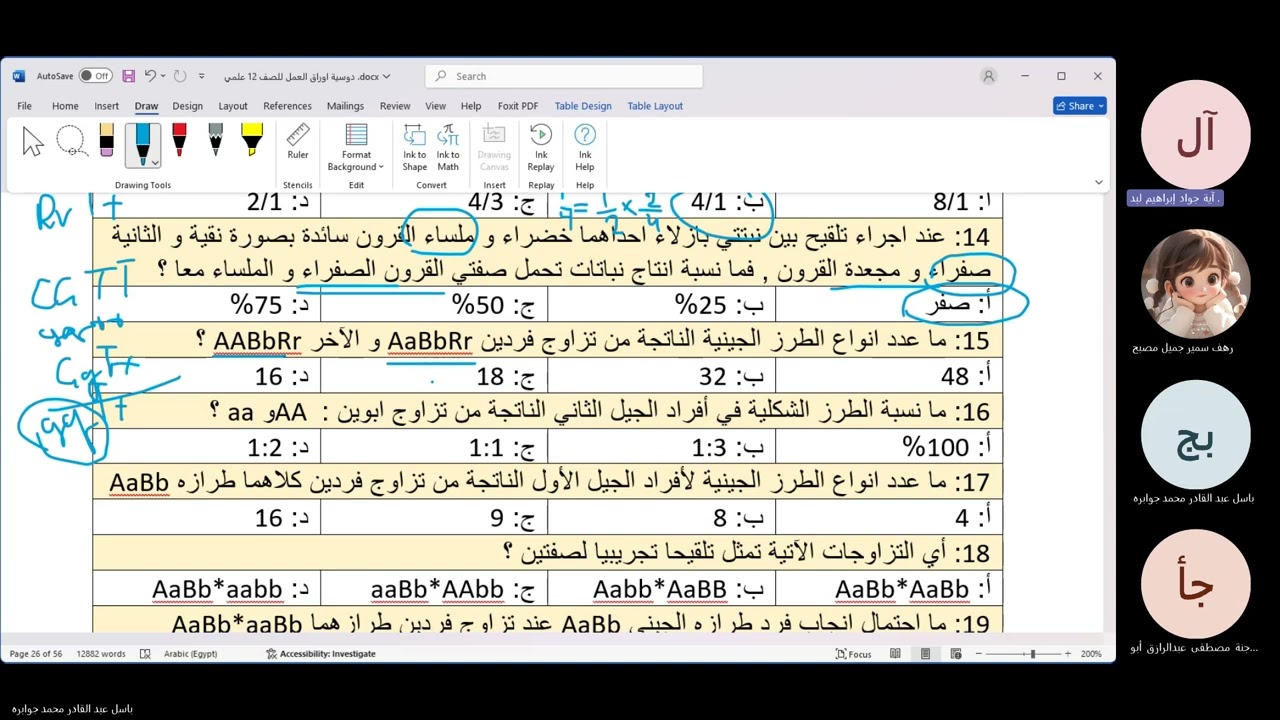 حل اوراق الوراثة المندلية 2