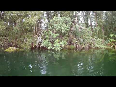 Wolf Lake fishing review Davie, FL