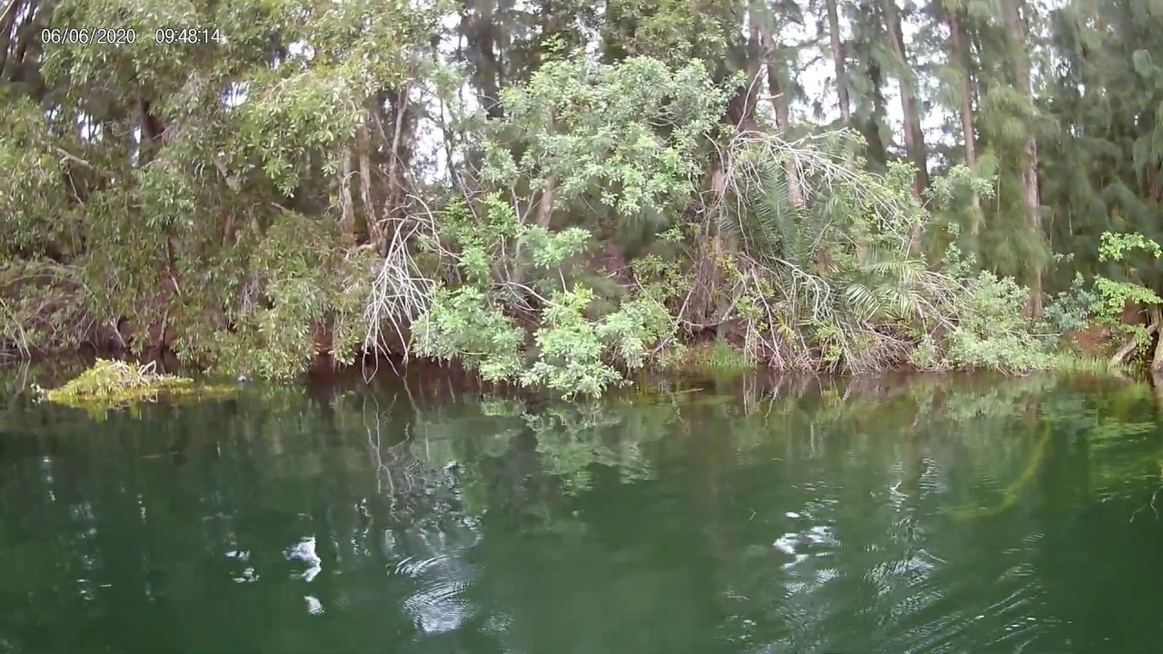 Wolf Lake fishing review Davie, FL YouTube