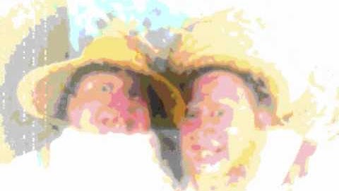 Circumference is pi times diameter