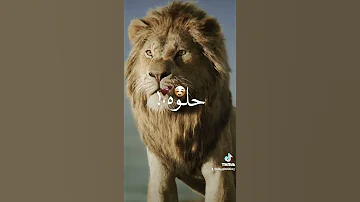 انا ابويا قالي هتعيش اسد تصون مملكه حالات واتس 