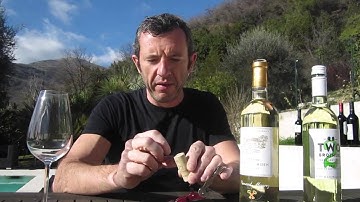 Wine Basics . Corks and Screwcaps . www.bradswine.com