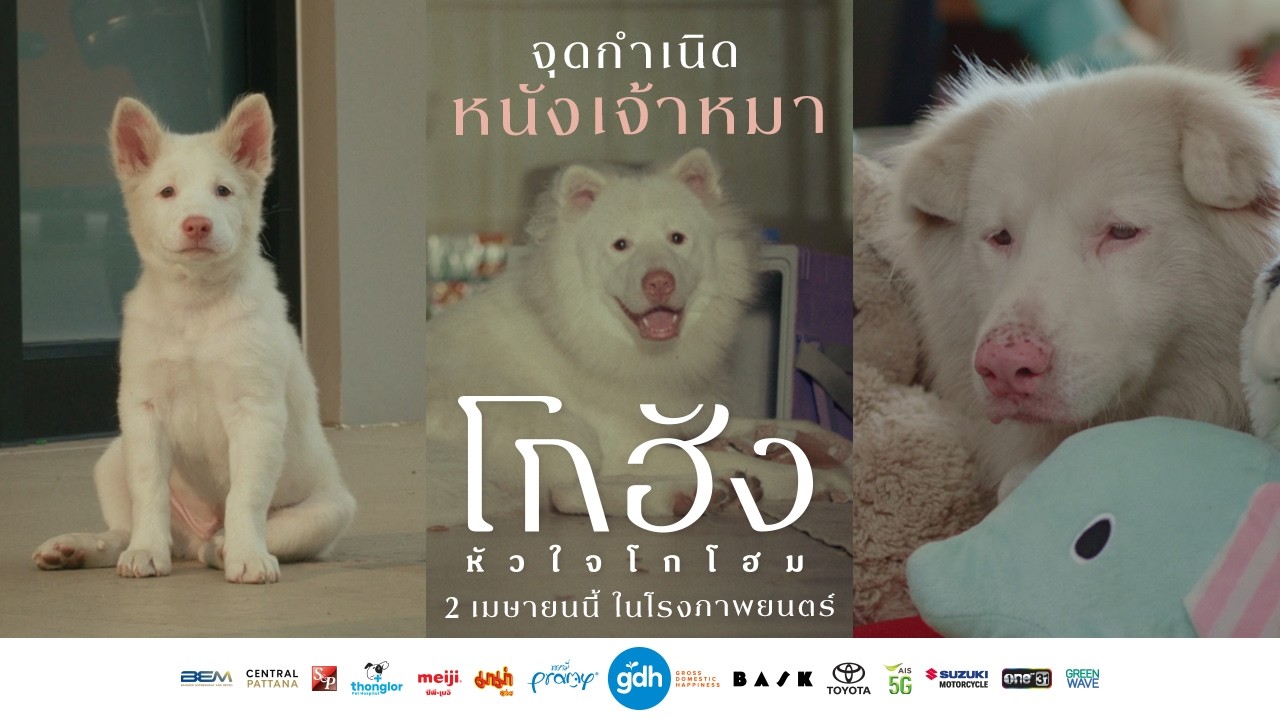 จุดกำเนิดหนังเจ้าหมา | โกฮัง..หัวใจโกโฮม