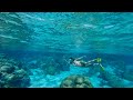 | TAHITI TRAVEL VLOGS | Day four: Snorkeling in Mo&#39;orea!