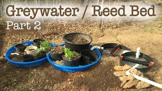 Greywater Reed Bed Filtration System (Part 2)