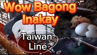 Bagong Inakay