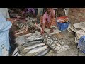 Most cheapest village market - Amazing village life