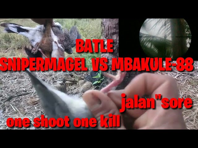 JALAN JALAN SORE BATLE@SNIPERMAGEL VS @MBAKULE-88 class=