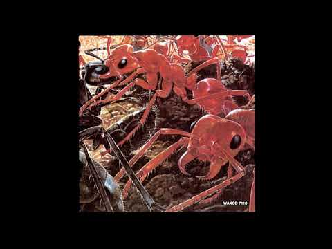 Foetus Inc. — Bedrock