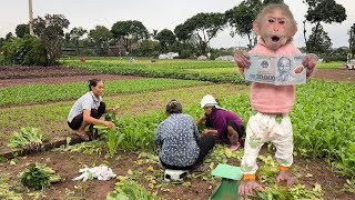 Lalas Clever Way Of Dealing With The Situation When The House Runs Out Of Fresh Vegetables