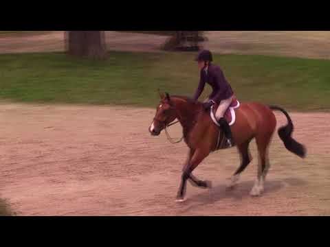 GOOD THING Amateur Owner 36 + Hunter 3'3 Handy Upperville