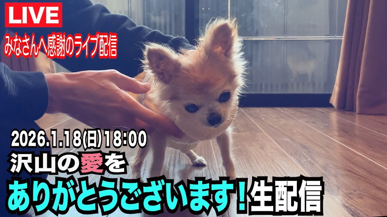 【沢山の愛をありがとうございました】生配信